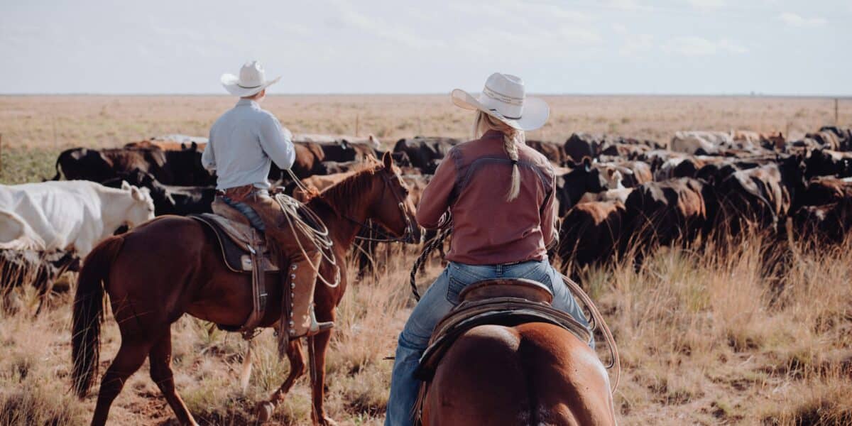 Experience the Buffalo Roundup and Arts Festival in South Dakota